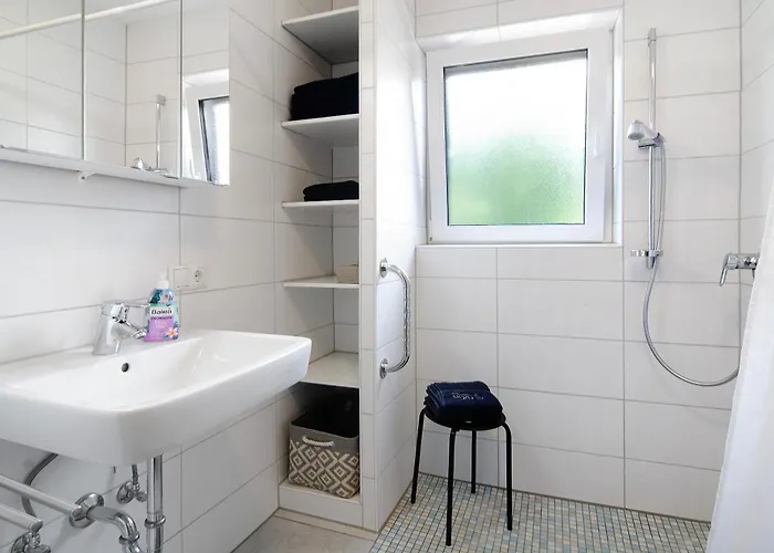 Fuchs * Salem (Baden-Wurttemberg)