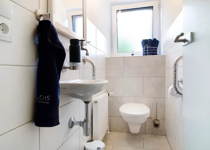 Fuchs * Salem (Baden-Wurttemberg)